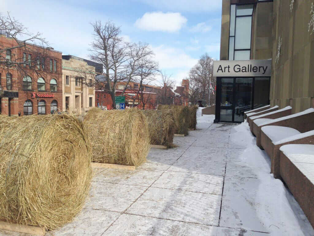 Monument (Pedestrian view), 2014. Living installation, Charlottetown, PE. Materials: 8 Round Hay Bales.