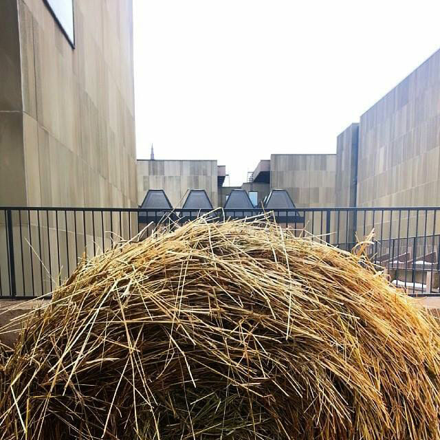 Monument (Detail), 2014. Living installation, Charlottetown, PE. Materials: 8 Round Hay Bales.