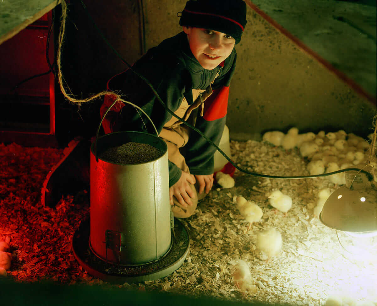  Young Farmers: Mathias Drake, 2009. Millview, PE. Materials: Photograph.