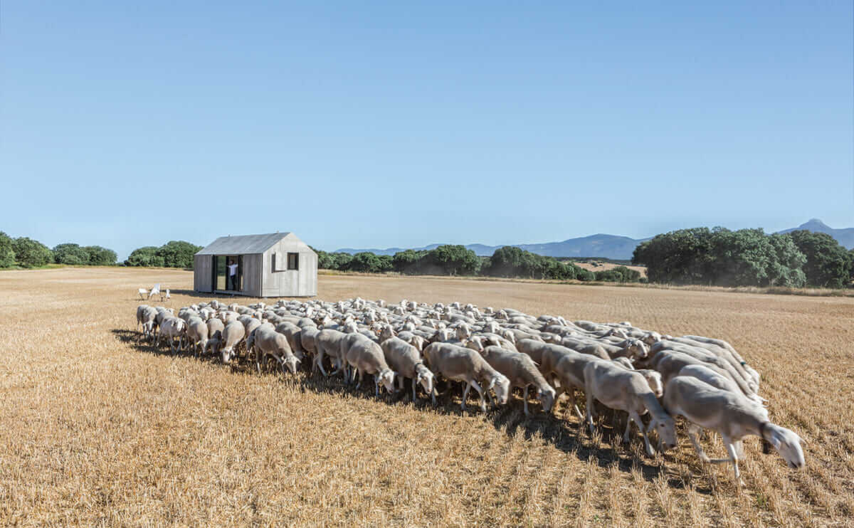 A Portable House resident watches his new neighbors trespass. 