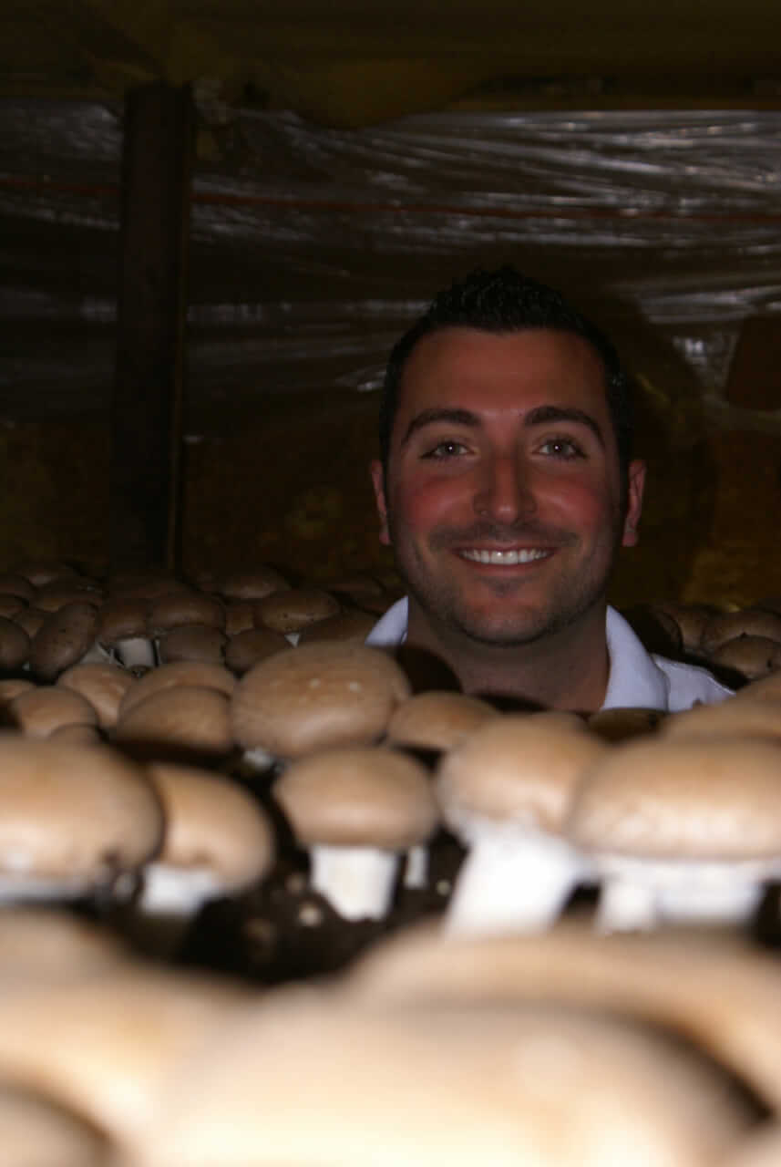 Grower Charles Cardile in mushroom house with criminis.