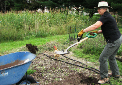 Green Heron co-owner Ann Adams throws soil into a wheelbarrow using HERS and an auxiliary D-grip from the Canadian company MOTUS; Green Heron is the U.S. distributor for these ergonomic grips, which also include a T-grip for the end of hoes and other long-handled tools to reduce wrist bending/twisting and allow for using the whole body in pushing and pulling. (Photo by Liz Brensinger.)