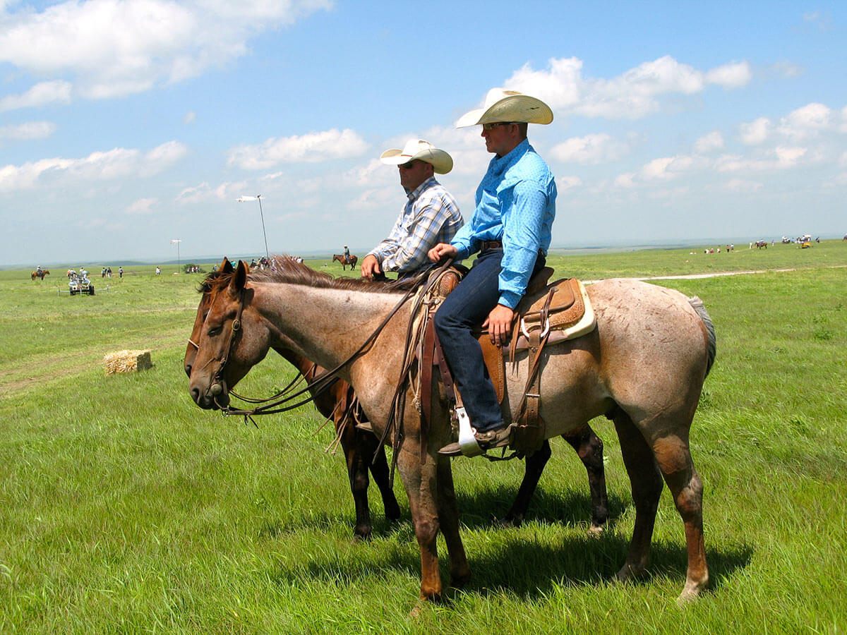 Cowboys gently herded visitors from the parking lot to the concert site. Volunteers Connor Grokett and Clint Bohnen, riding Screetch and Ratt, also herded four-legged animals during the performance.