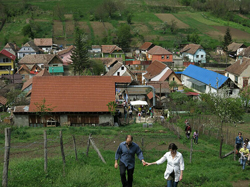 Brunch participants exploring the sloped fields behind the Schuster's house.