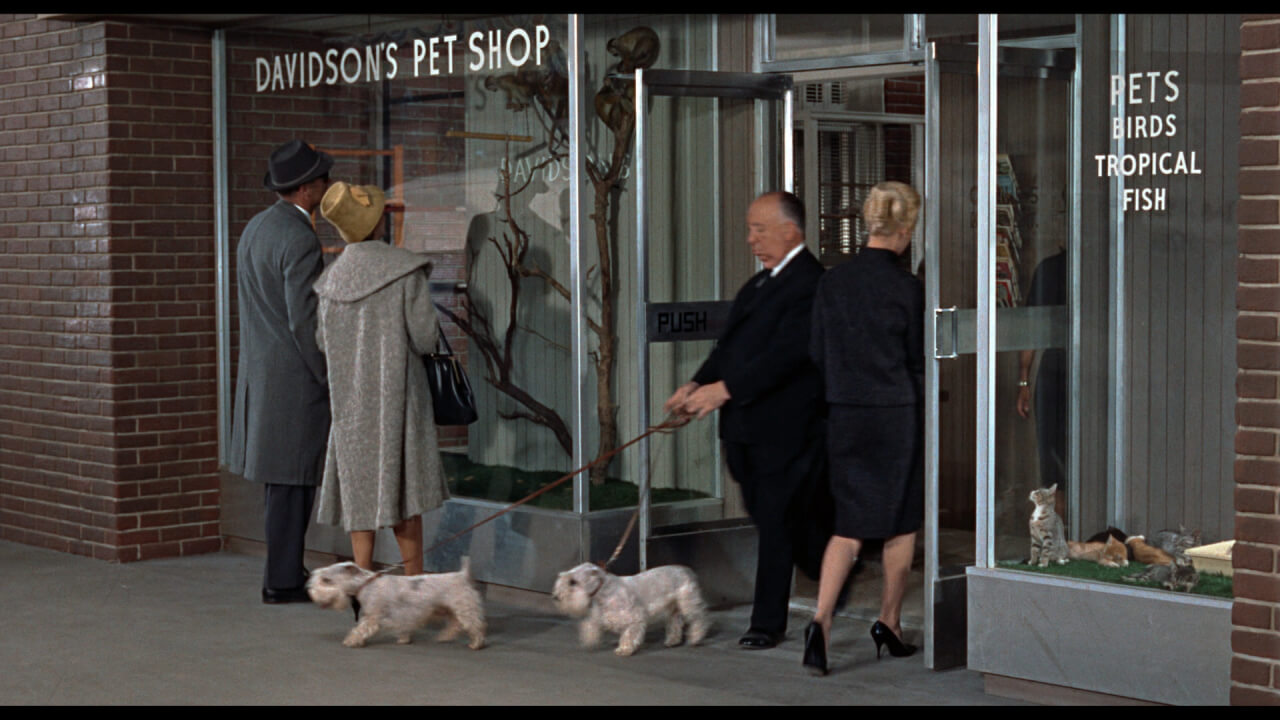 Alfred Hitchcock strolls through an opening scene of 'The Birds' with his Sealyham terriers.