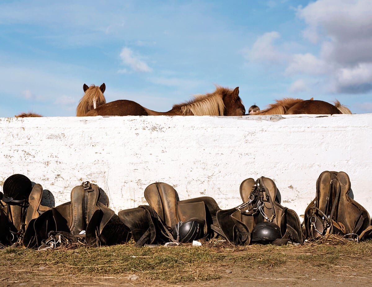 Horses are used to bring in the herd at the VÁ­Á°idalstungurétt round-up in Iceland.