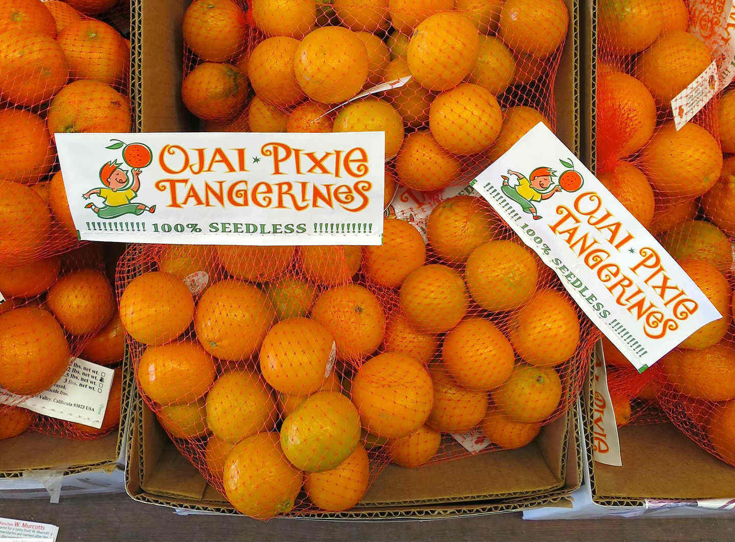 A bag of Ojai Pixie brand tangerines.