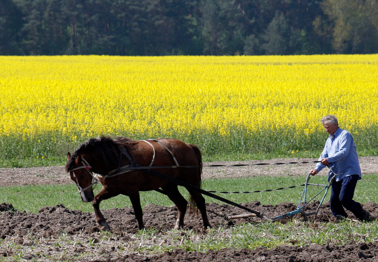 A man and a horse plough up the field near the village of Bugayvka, some 130 km (81 miles) east of Lviv in western Ukraine May 10, 2011. 