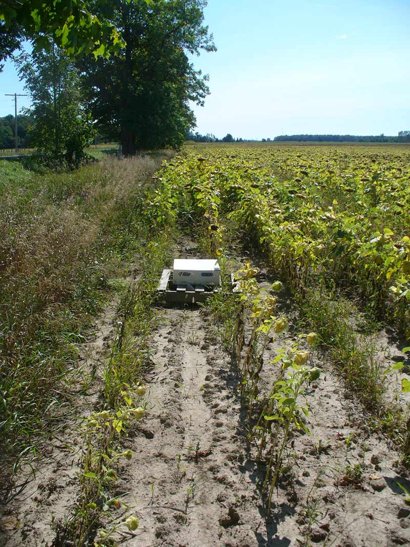 The Bumble Box is easy to move around the field.