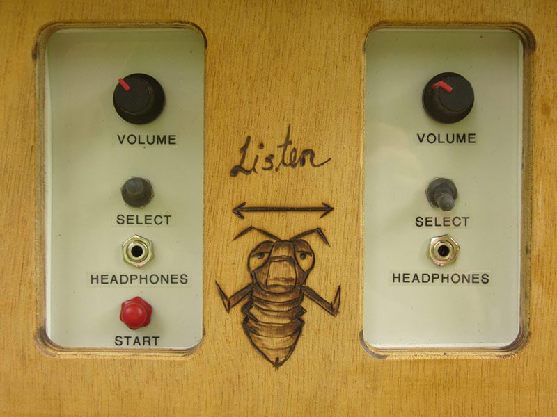 Plug in for some up-close and personal bee audio.