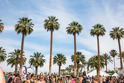 Palm trees frame the Southern California desert music (and now food) festival.