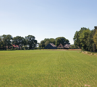 A view from the front; clean, simple landscaping complements the house.