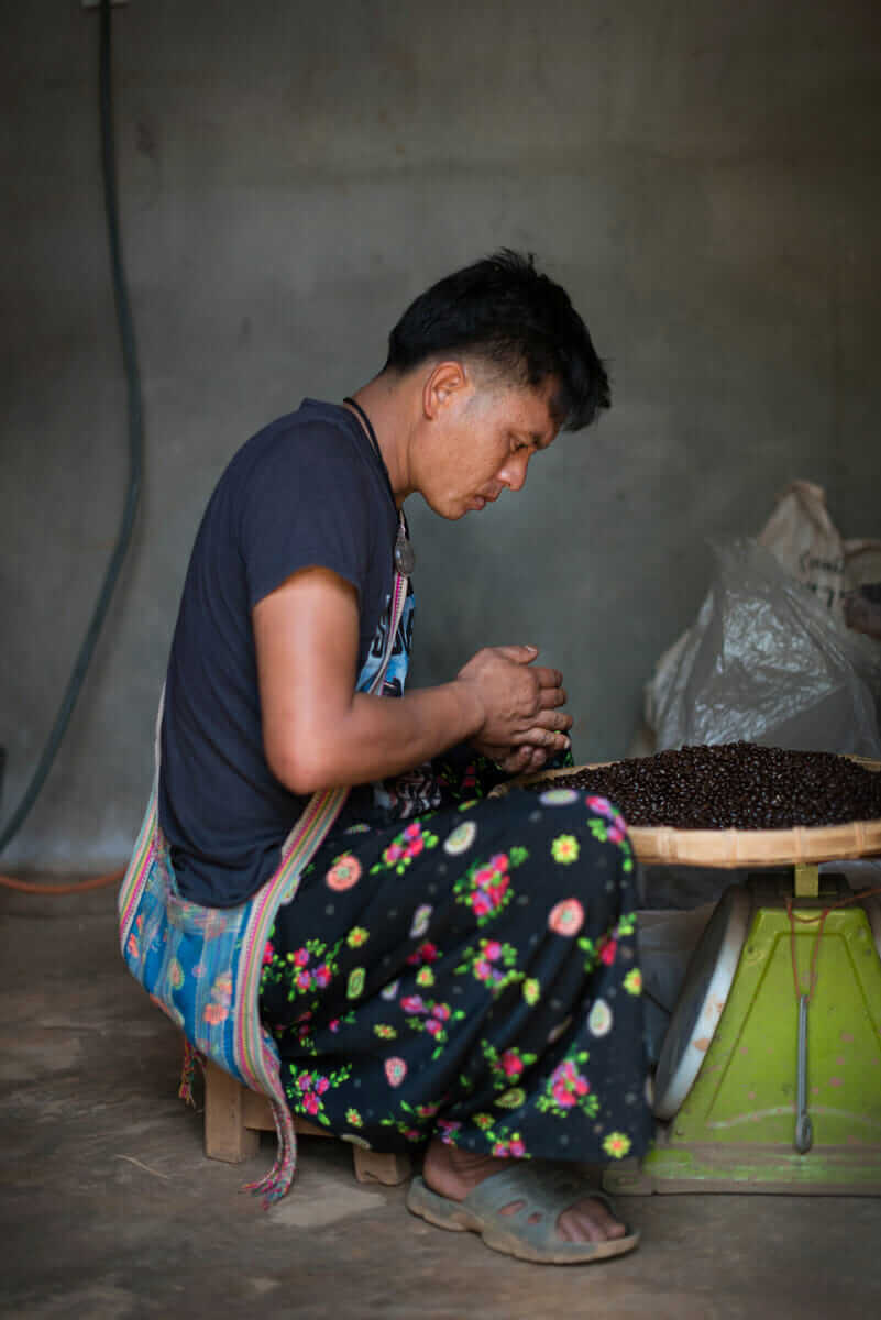 Lo-Ue Jayo, the head farm worker and Lahu tribesmen, carefully sorts the freshly roasted coffee beans.