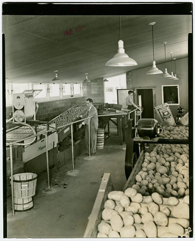 Mechanized food storage was one of more than 100 uses of electricity on display in the Electric Farm exhibit. / Courtesy NYPL Digital Archives.