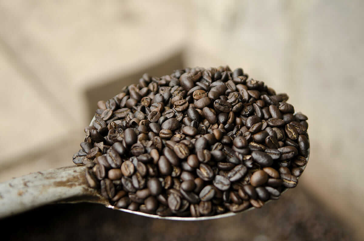 A heaping spoonful of the Pérez Villarreyna's roasted coffee.