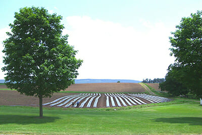 Kempf on a consultation at an organic vegetable farm in Millersburg, Pa.