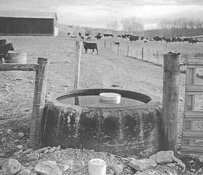 Oversized tires from old farm equipment are made into water troughs.