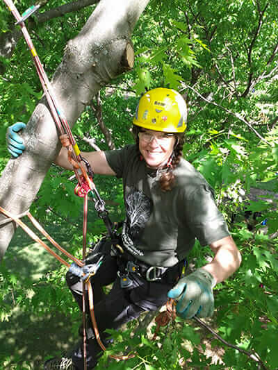 Bear LeVangie earching for the Asian Longhorned Beetle in Worcester, MA.