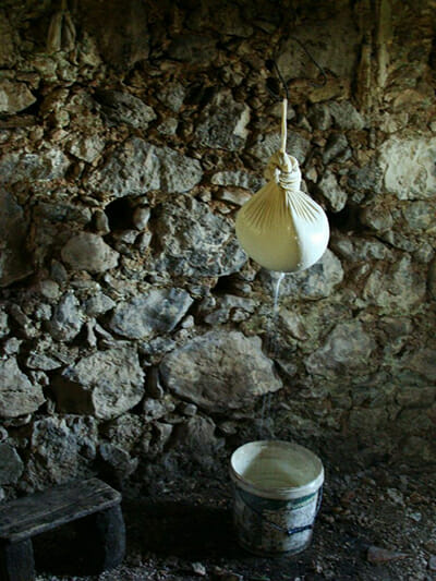 Draining the whey in the Hiotis cheesemaking room in the mountains of Greece.