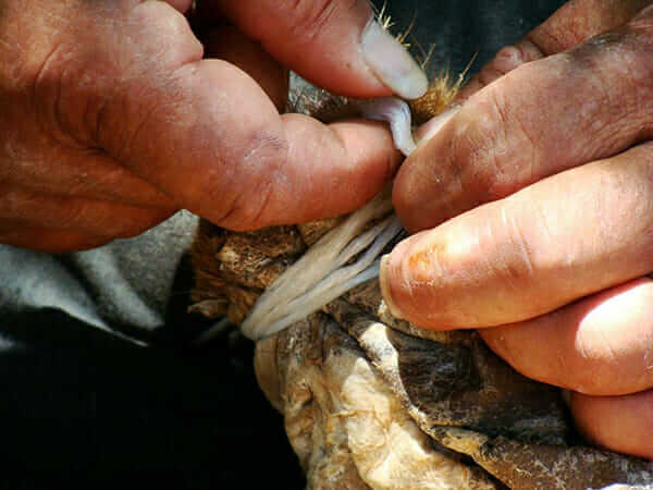 Dimitris Hiotis knots the legs of the touloumi to create a vessel for the aging and storage of touloumotiri.