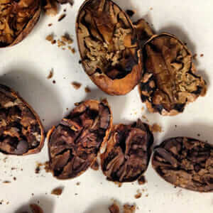 Cacao beans. / Courtesy Alan McClure