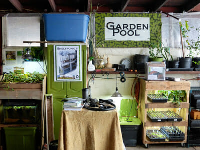 The McClungs offer free classes, including how to start aquaponics. / Courtesy Garden Pool