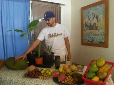 How to grow tropical fruit trees, another free class provided by Garden Pool. / Courtesy Garden Pool