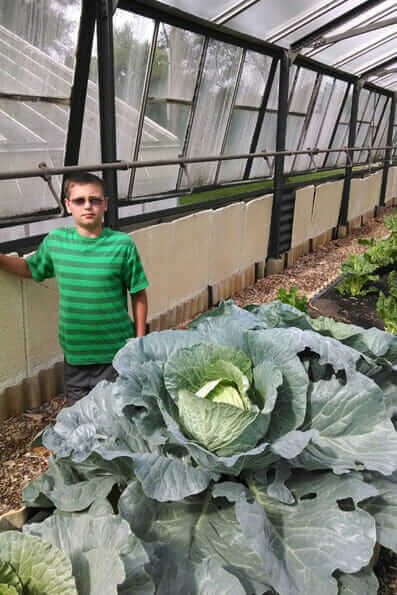 BroGro testing in an abandoned greenhouse in Lynchburg, Va., yielded a cabbage half the size of Layton's son.