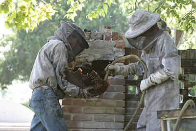 Scott and her son John suction the bees into a temporary home.