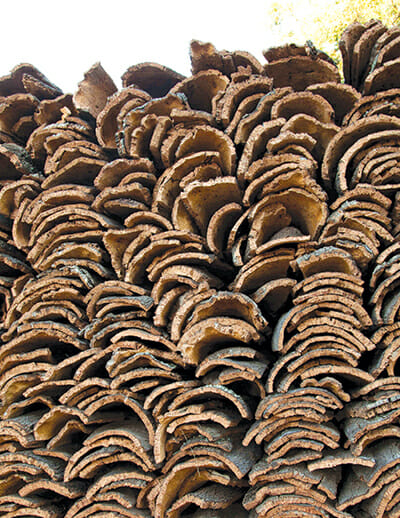 Stacks of aging cork bark.