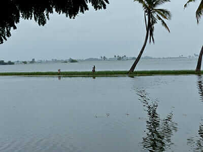 Flooded farmland.