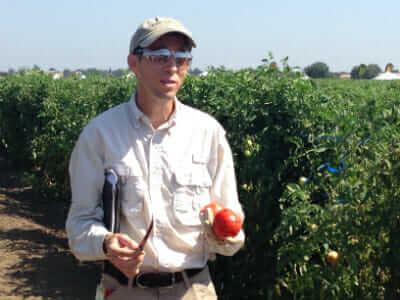 Monsanto tomato breeder, Alan Krivanek.