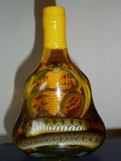Originated in Vietnam, snake wine can be found in other Southeast Asian countries as well.
