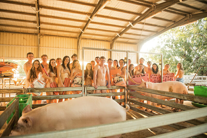 Massey vet students are barely there again | infonews 