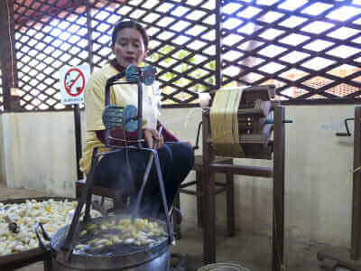 Traditional silkworm farming techniques remain largely untouched by modern methods.