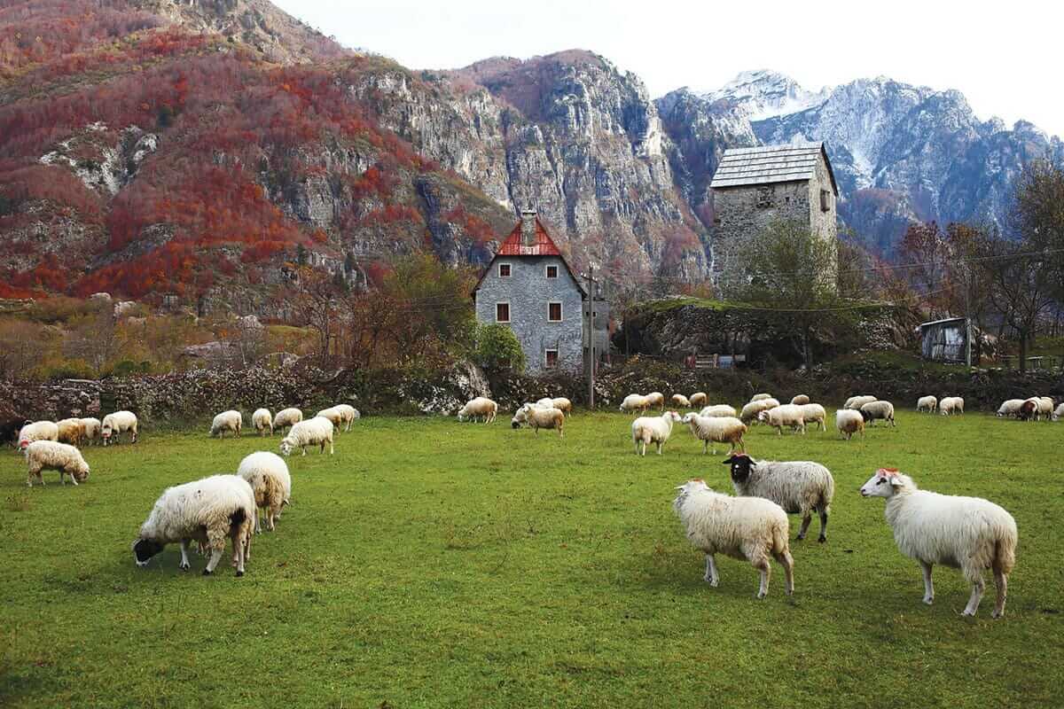 A farmhouse in Theth, a small community in the Albanian Alps in the north of the country. / Courtesy Sebastian Laraia. 