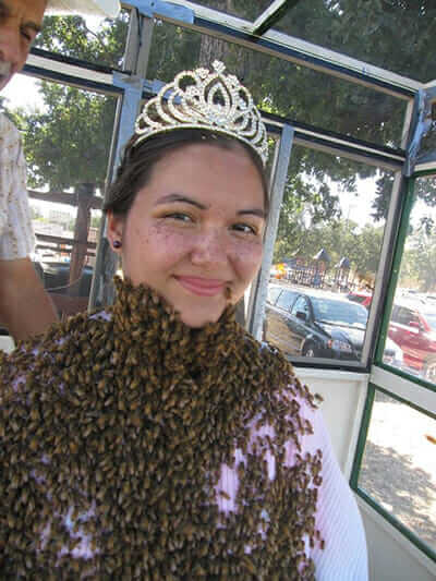Meet The Queen Bees Building Buzz For The Honey Industry Modern Farmer