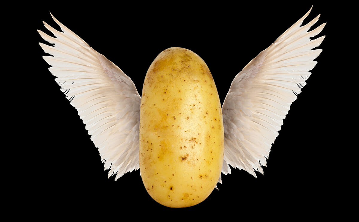 A Potato Flies Around The Room Modern Farmer