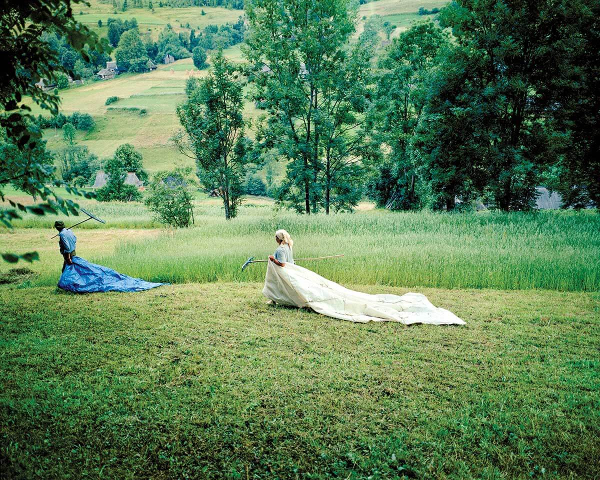 A couple works together collecting hay. They use large, plastic sheets to move the hay downhill.