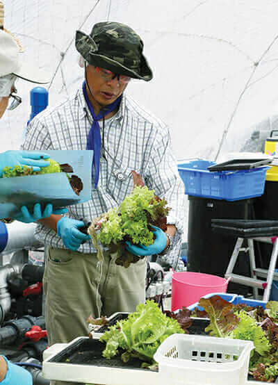  An employee works beside a culture pool for lettuce at Granpa Farm in Yokohama. / Courtesy Haruyoshi Yamaguchi.