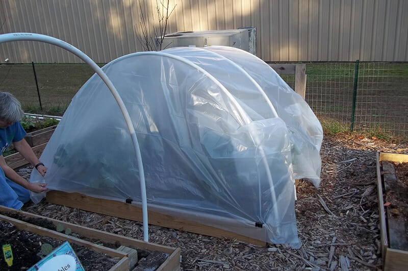 Plastic film covering hoop house for seasonal protection.