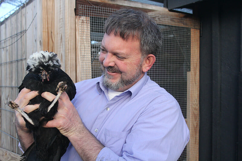 Mark Metzler Sawin, history professor and Virginia chicken outlaw, shows off his Polish chicken outside his backyard coop.