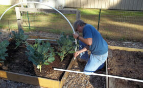 How To Build A Hoop House - Modern Farmer