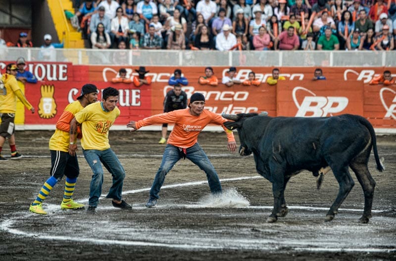 bullfighting_10