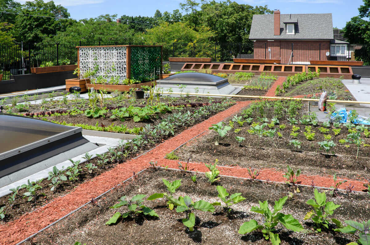 How Much Weight Can A Rooftop Garden Hold?