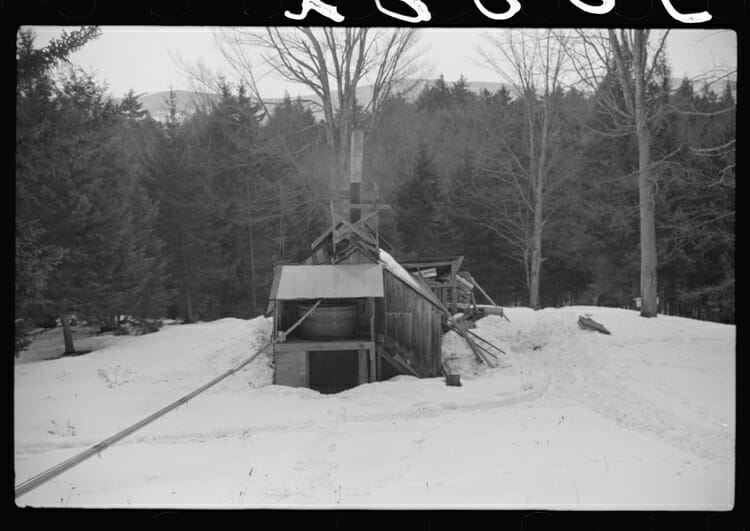 Gathering Sap from Maple Tree for Syrup Waitsfield VT 1940 Historic Photo Print 