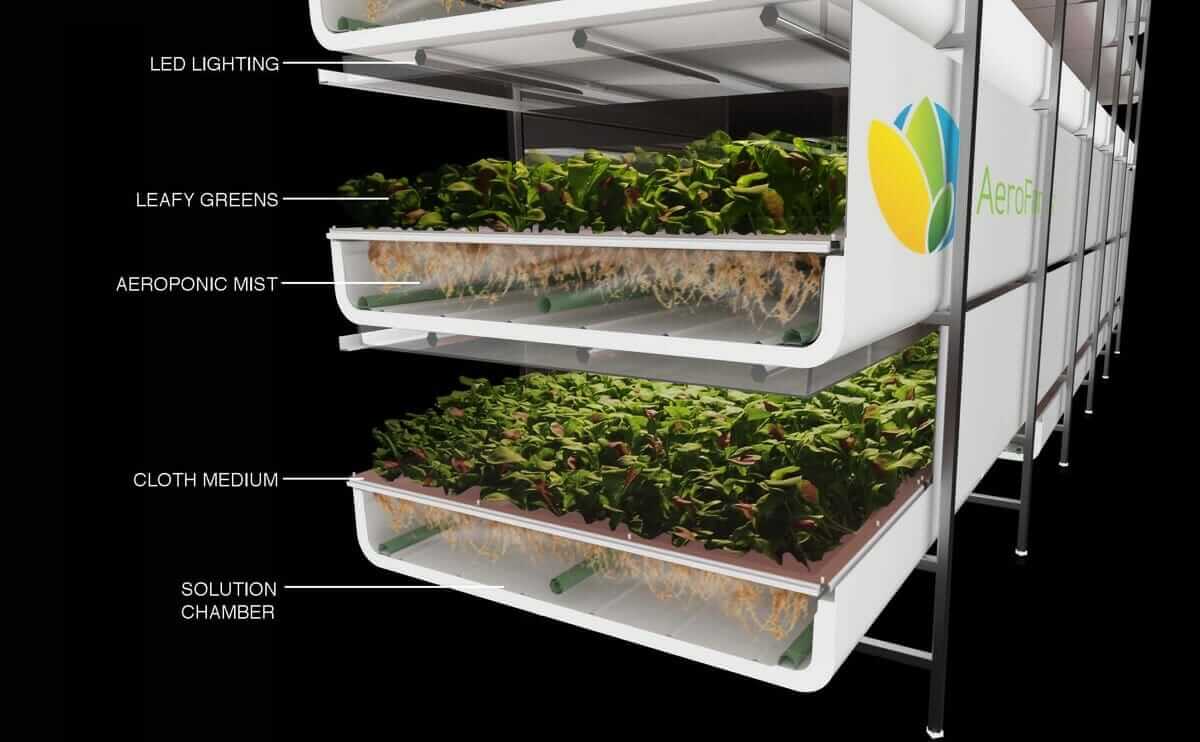 Say Hello To The (Soon To Be) World's Largest Indoor Vertical Farm - Modern Farmer