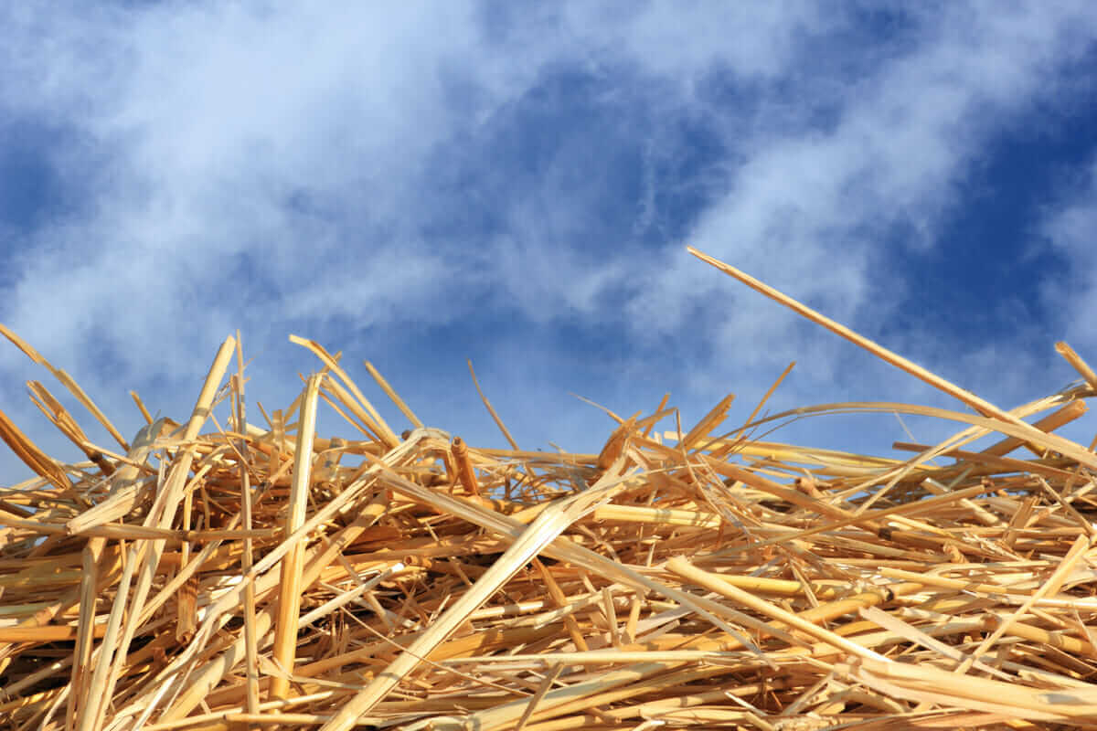 How to Make and Use a Straw Bale Cold Frame