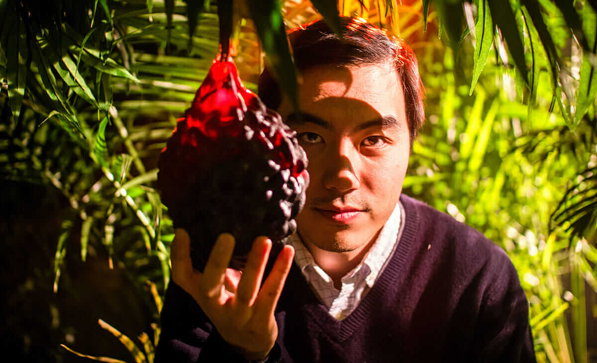 Review The Fruit Hunters Modern Farmer