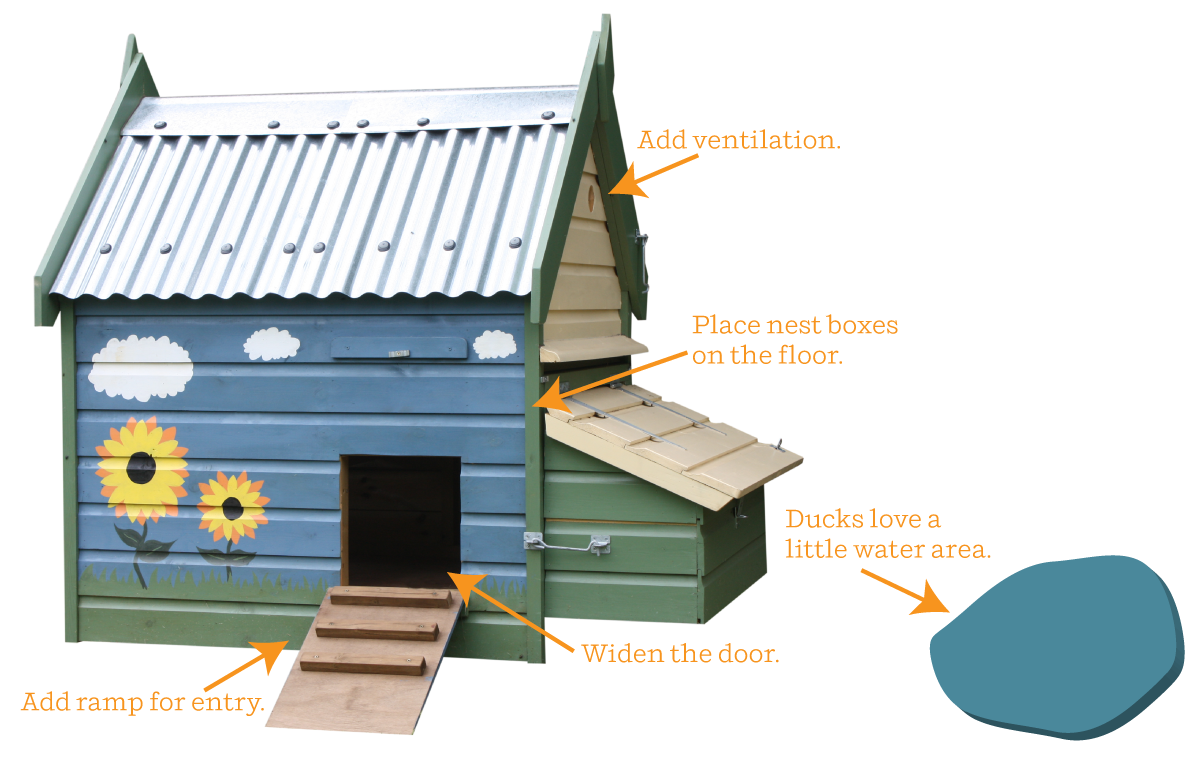 How To Convert A Chicken Coop Into A Duck House Modern Farmer